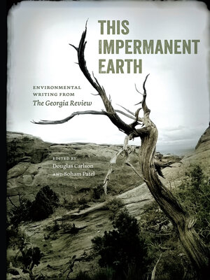 cover image of This Impermanent Earth